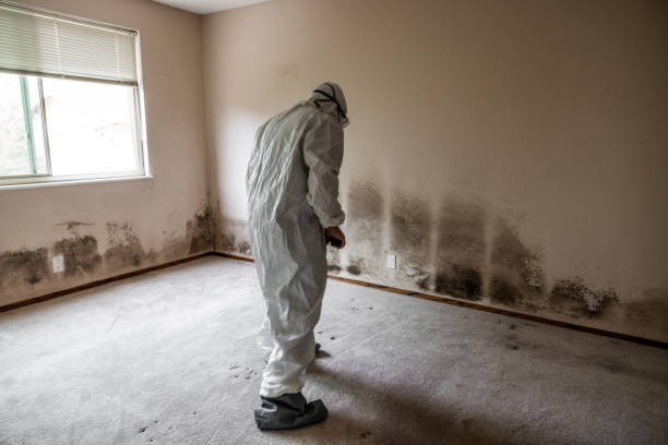 Mold Remediation for Rental Properties in Mississippi State, MS